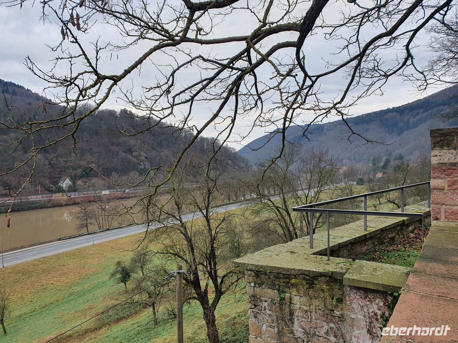 Blick auf den Neckar