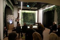 Erklärung der Kakaobohne