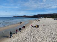 Strandspaziergänger