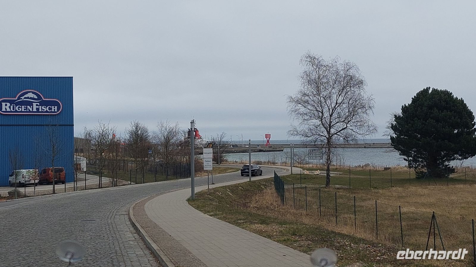 Rügenfisch im Hafen Sassnitz