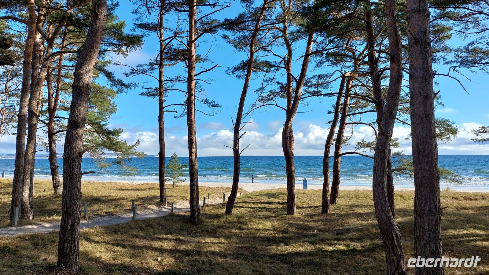 Dünenwald und Strand von Binz