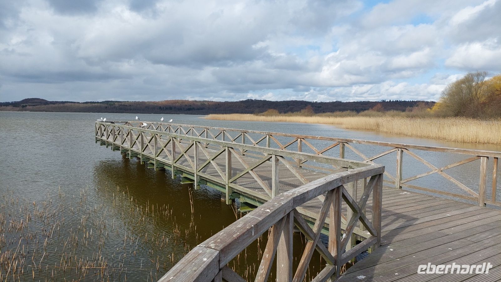 Idylle pur am Schmachter See