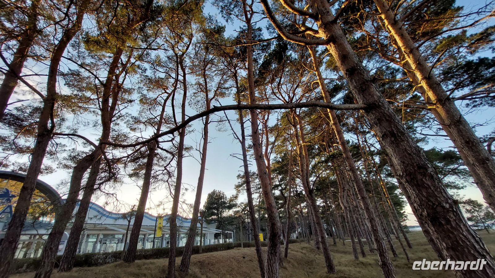 Dünenwald mit IFA-Restaurant