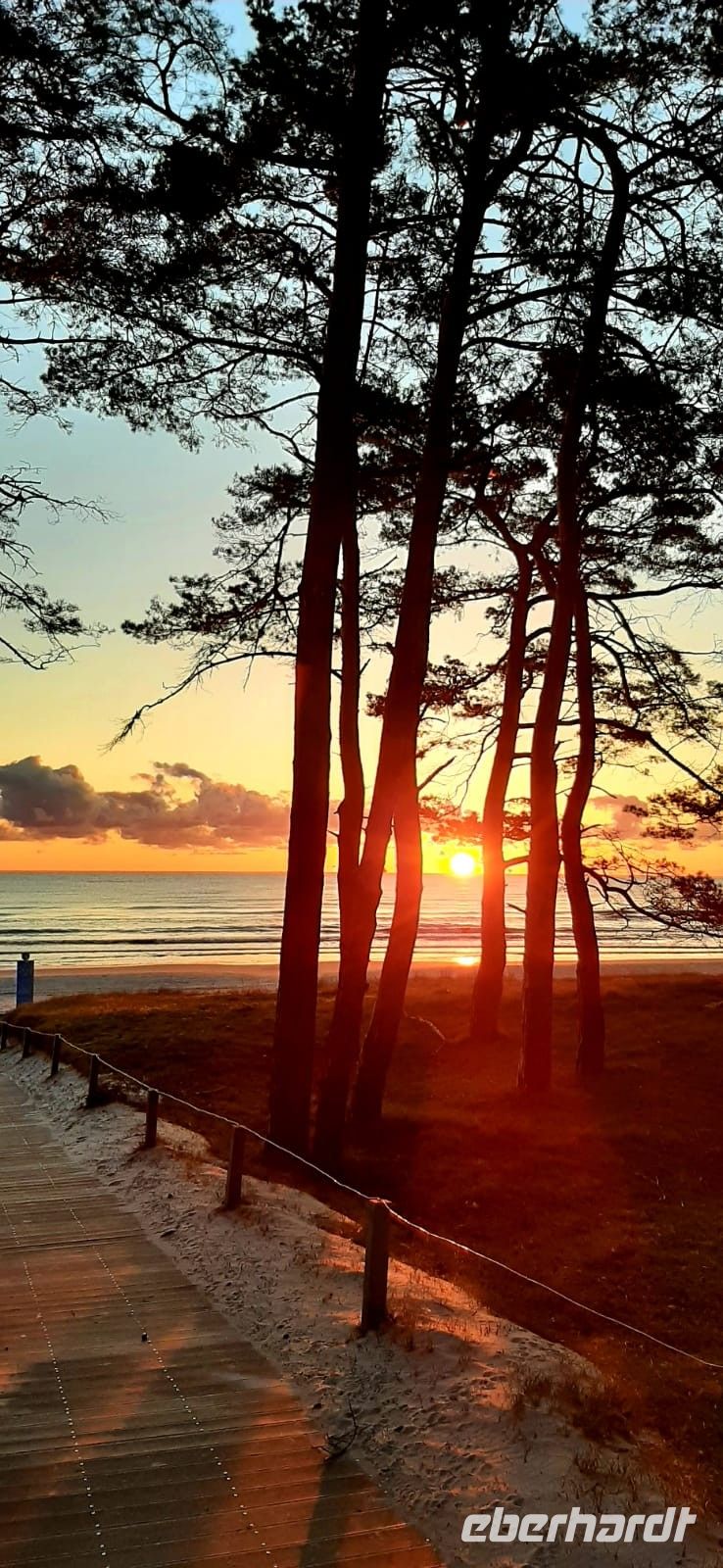 da kann man nicht genug bekommen....