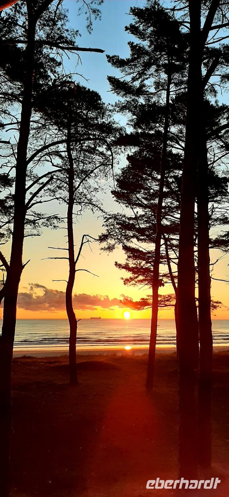 nun aber.....herrlich