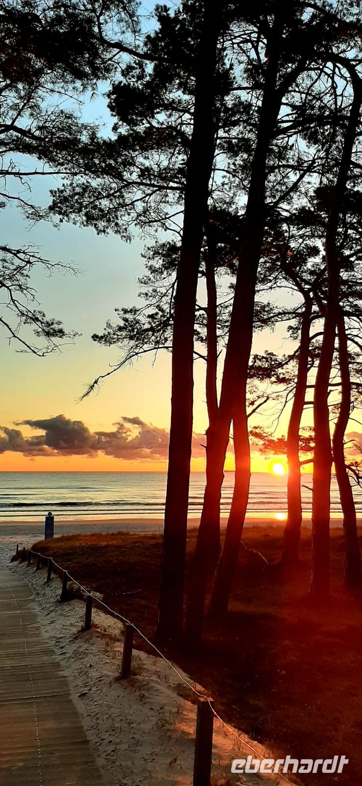 sieht aus wie gemalt....