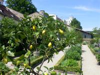 Im Renaissancegarten auf der Willibaldsburg