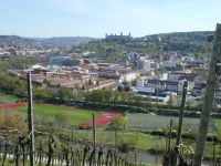 Würzburg Blick von den Weinbergen