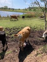 interessierte Beobachter der Wandergruppe