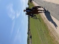 Wanderer meets Reiter 