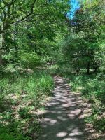 Hochuferweg am Bodden
