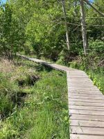 romantischer Wanderpfad übers Moor