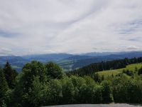 Bregenz - Auf dem Pfänder (9)