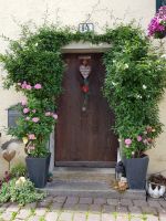 Bregenz-Von der Seebühne zum Zentrum und in die Oberstadt (18)