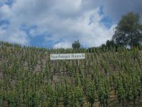 DSCN6131.JPG   Weinberg Saarburg