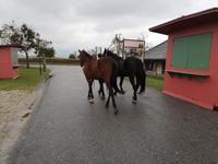 1b Aiderbichl (15)