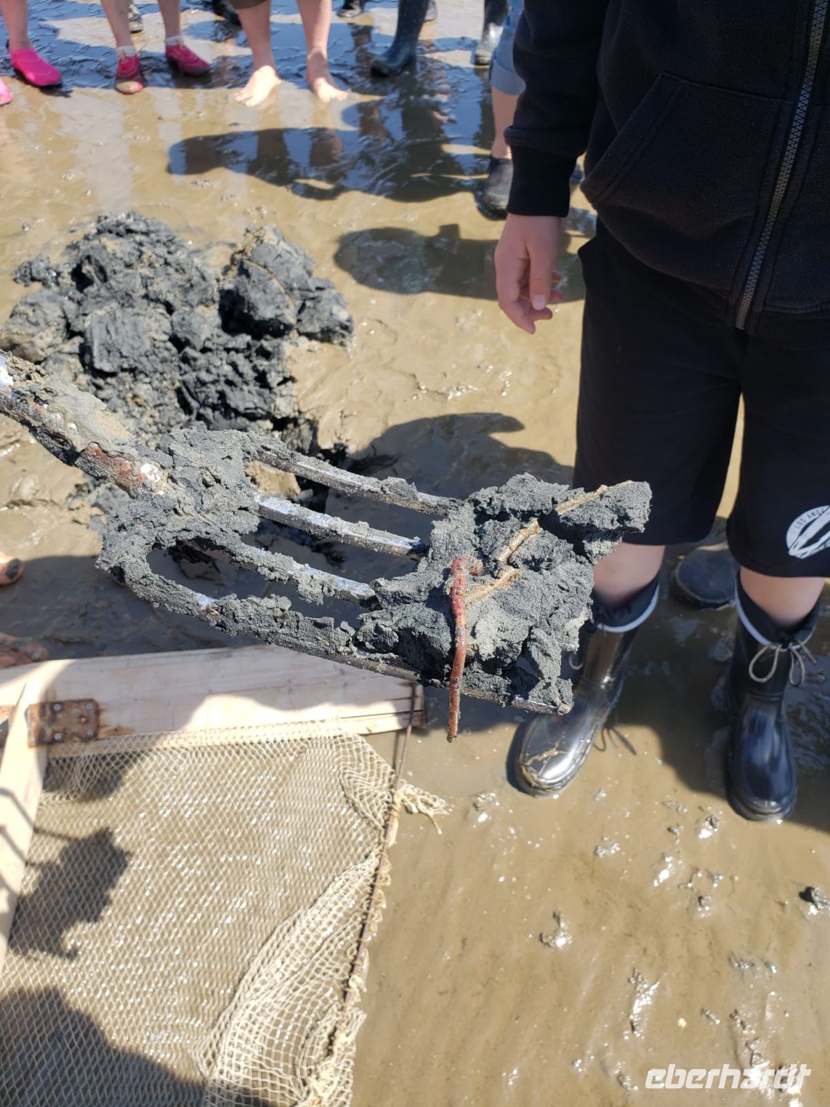 2.5