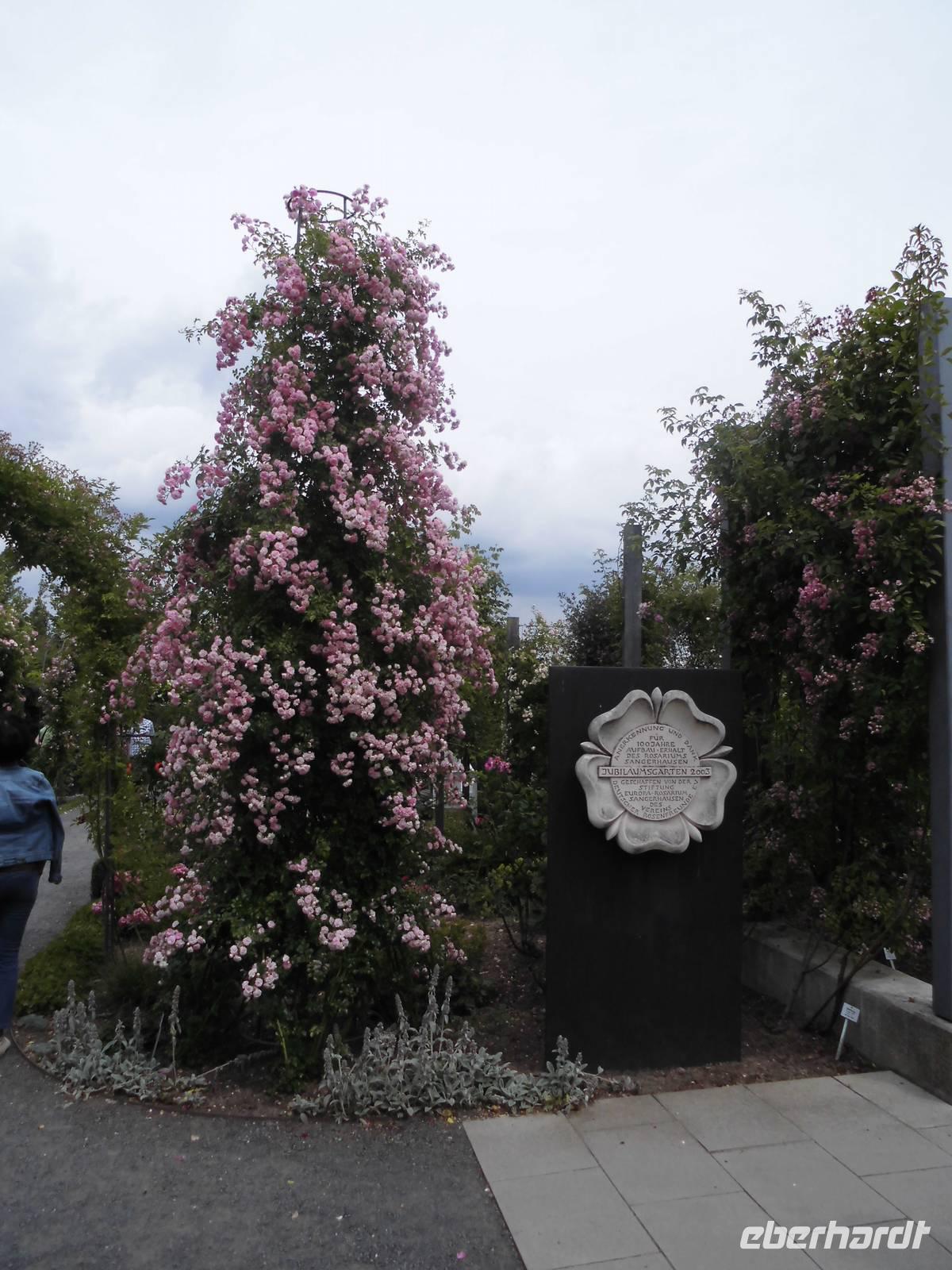 2003 - 100 Jahre Rosarium