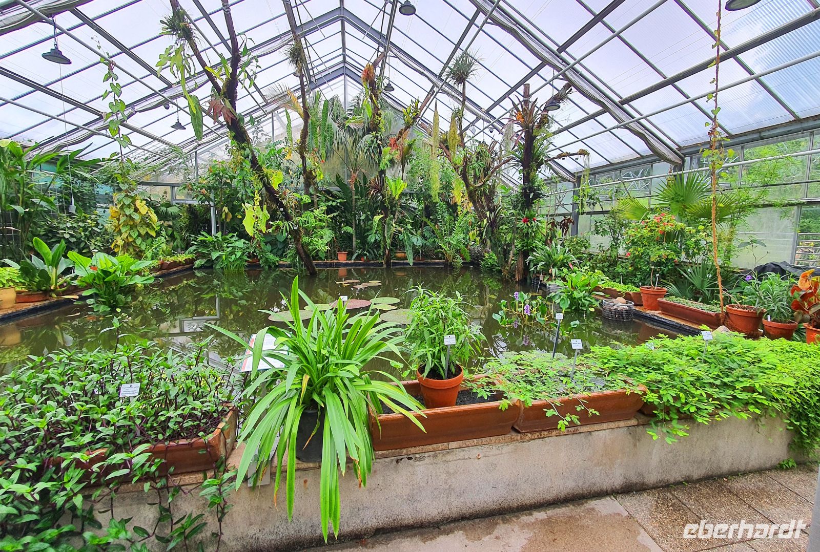 Besuch des Botanischen Gartens in Dresden - Tropenhaus