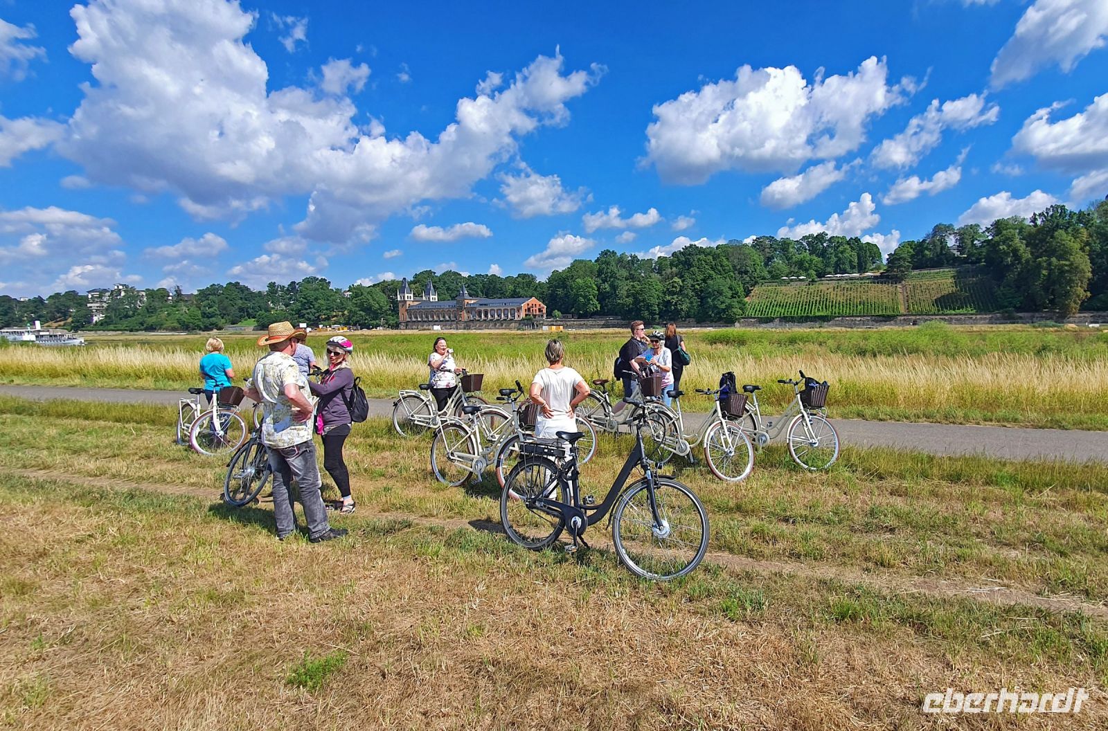 Fahrradtour auf dem Elberadweg - Fotostopp gegenüber der Saloppe und den Weinhängen
