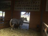 Eindrücke von Gut Aiderbichl