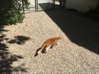 Eindrücke von Gut Aiderbichl