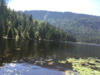 Arbersee