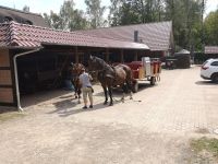 Kutsche für Heidefahrt