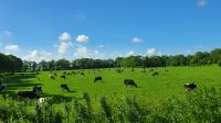 20220522 092200 auf Wiedersehen Ostfriesland