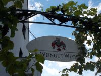 DSCN6844.JPG  Weinverkostung