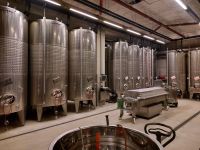 2024_Weihnachtsreise_Dresden: Weingut Wackerbarth - Weinkeller