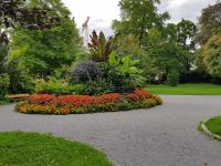 Bregenz-Von der Seebühne zur Innen-und Oberstadt (9)