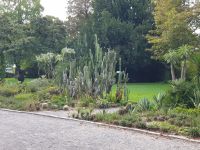 Bregenz-Von der Seebühne zur Innen-und Oberstadt (8)