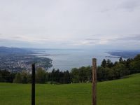 Bregenz - Auf dem Hausberg -dem Pfänder (2)