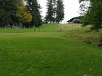 Bregenz - Auf dem Hausberg -dem Pfänder (7)