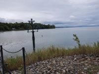 Blumeninsel Mainau (5)