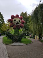 Blumeninsel Mainau (8)