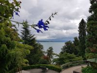 Blumeninsel Mainau (50)