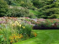 Blumeninsel Mainau (76)