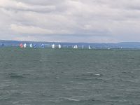 Bodenseeschifffahrt (11)