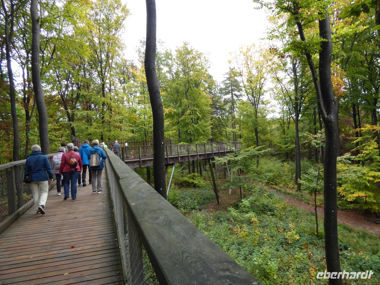 Tag 2 Baumwipfelpfad Saarschleife
