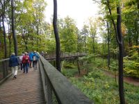 Tag 2 Baumwipfelpfad Saarschleife