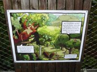 Tag 2 Baumwipfelpfad Saarschleife