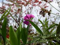 Tag 5 Für die Jahreszeit zu warm 