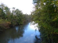 Tag 5 Spaziergang an der Mosel