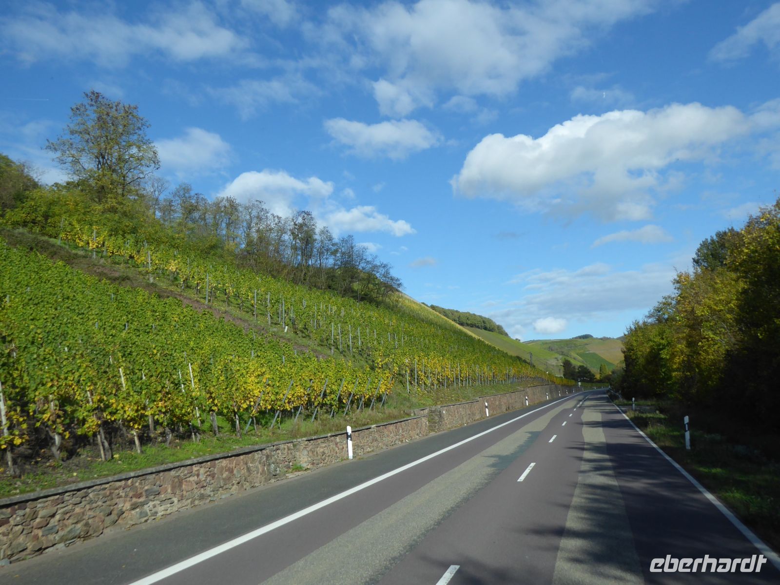 Tag 6 Weinberge an der Saar