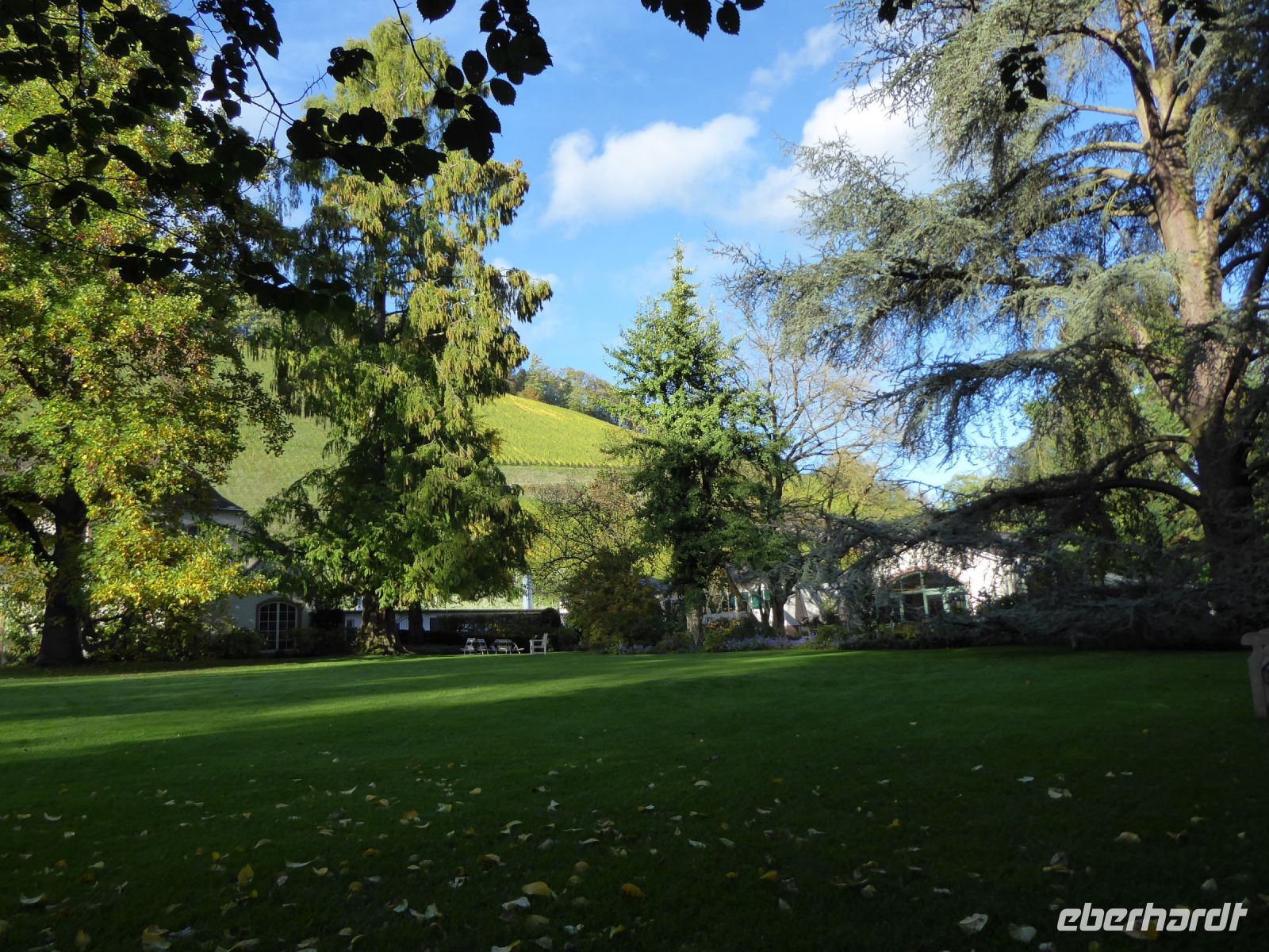 Tag 6  Weingut Othegraven, Parkanlage