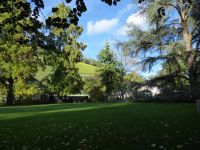 Tag 6  Weingut Othegraven, Parkanlage