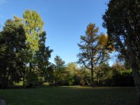 Tag 6  Weingut Othegraven, Parkanlage