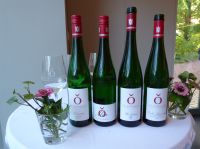 Tag 6 Weinprobe bei Günther Jauch im Weingut Othegraven